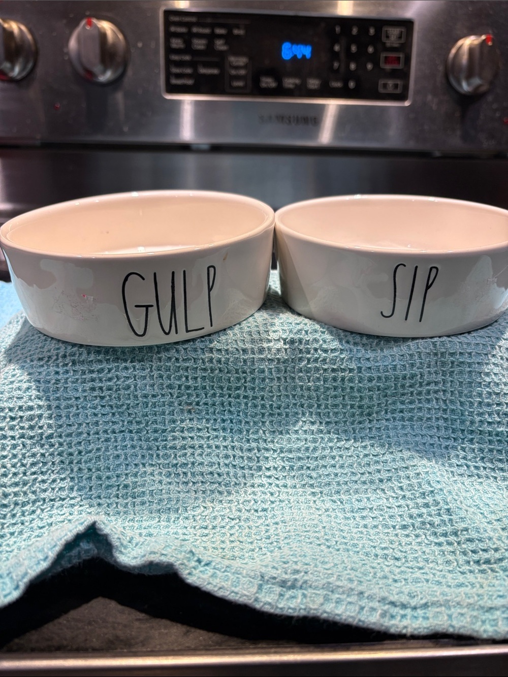 Rae Dunn Pet Dishes Gulp and Sip